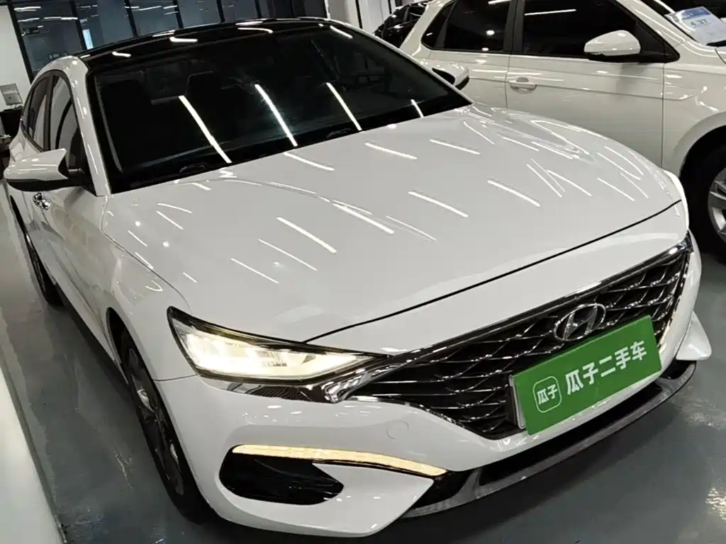 Hyundai Fista — миниатюра 22
