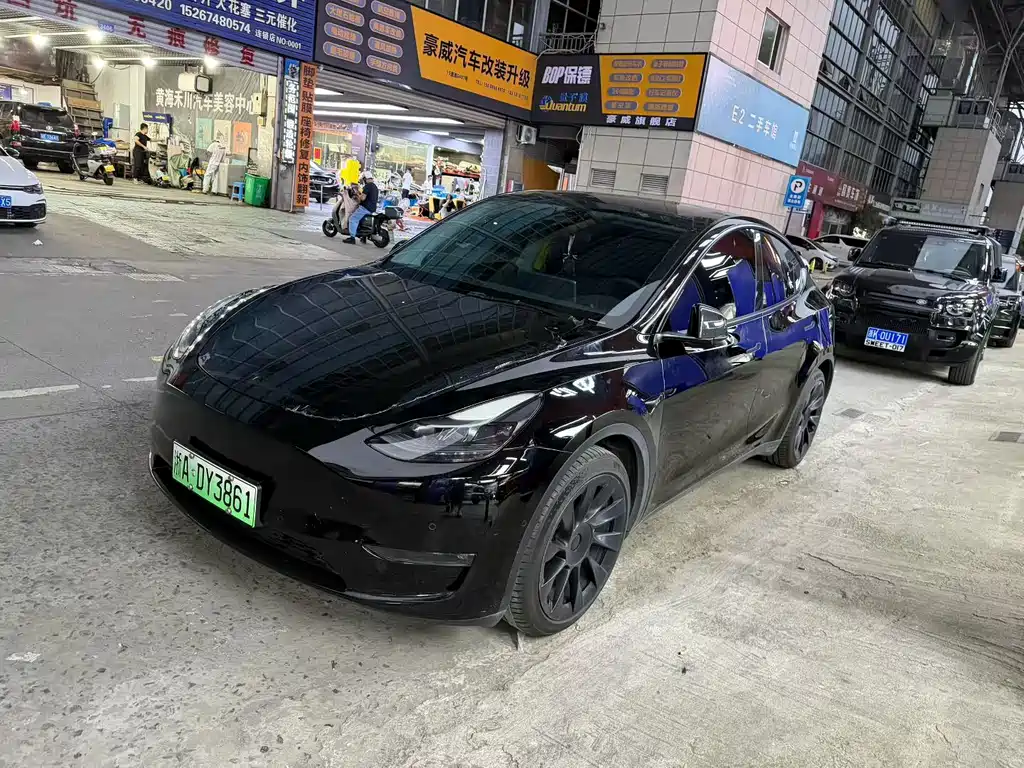 Tesla Model Y — миниатюра 3