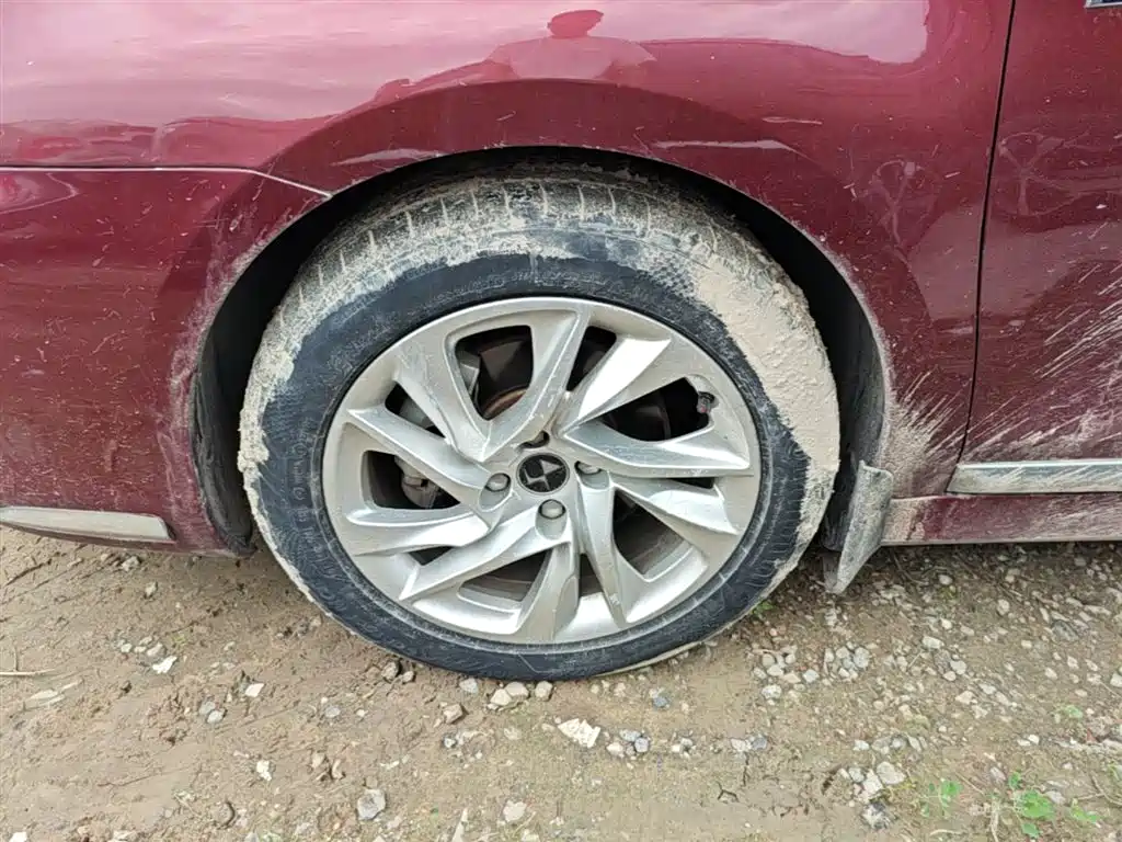 DS DS 4S — миниатюра 23