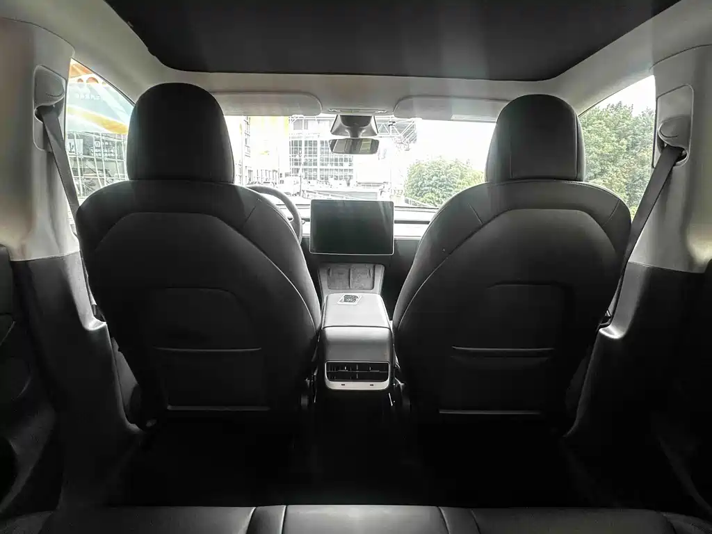 Tesla Model Y — миниатюра 9