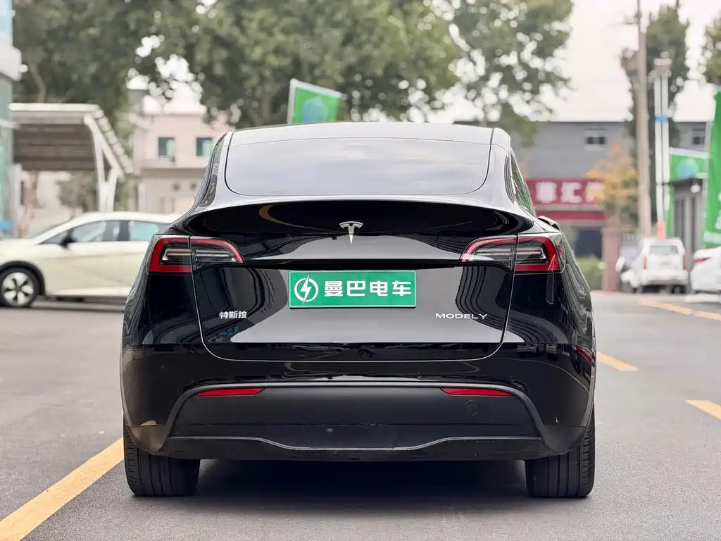 Tesla Model Y — миниатюра 6