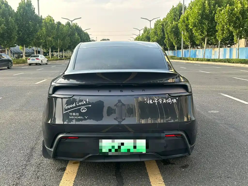 Tesla Model Y — миниатюра 8