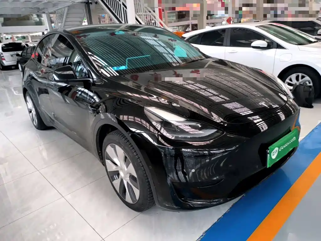 Tesla Model Y — миниатюра 4