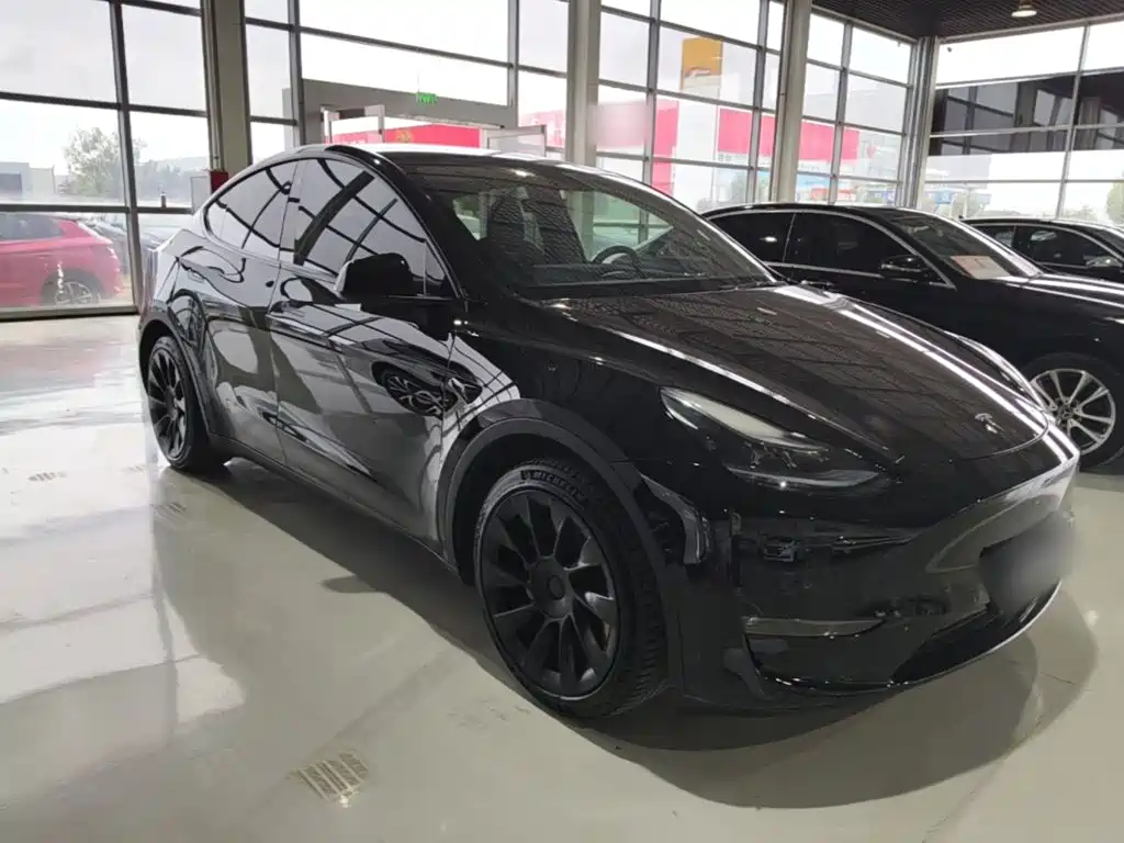 Tesla Model Y — миниатюра 4
