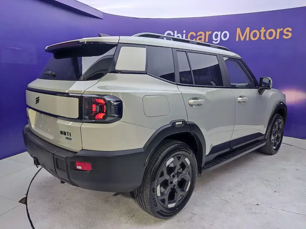 Shanhai Shanhai T1 — миниатюра 6
