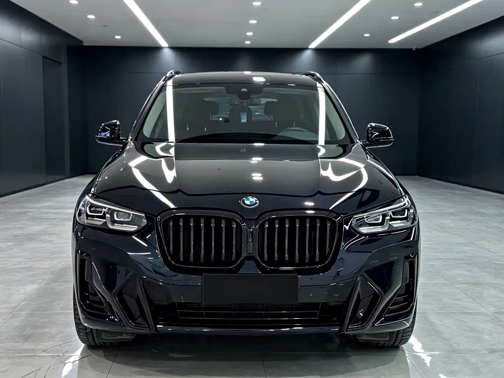 BMW X3 — миниатюра 2