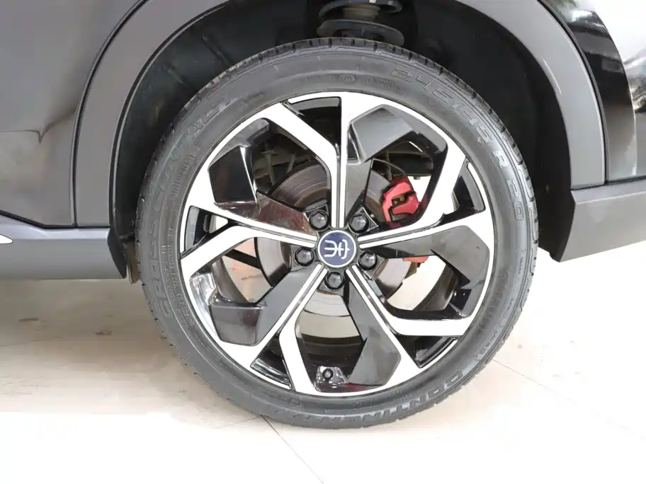 BYD PLUS — миниатюра 18