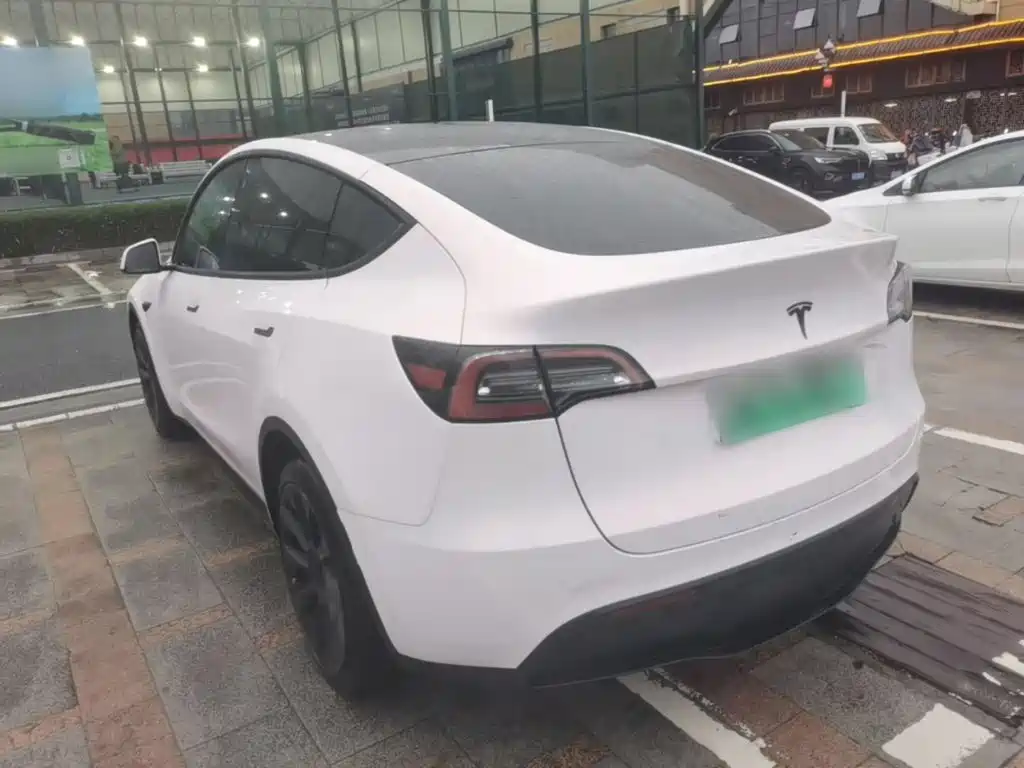 Tesla Model Y — миниатюра 5