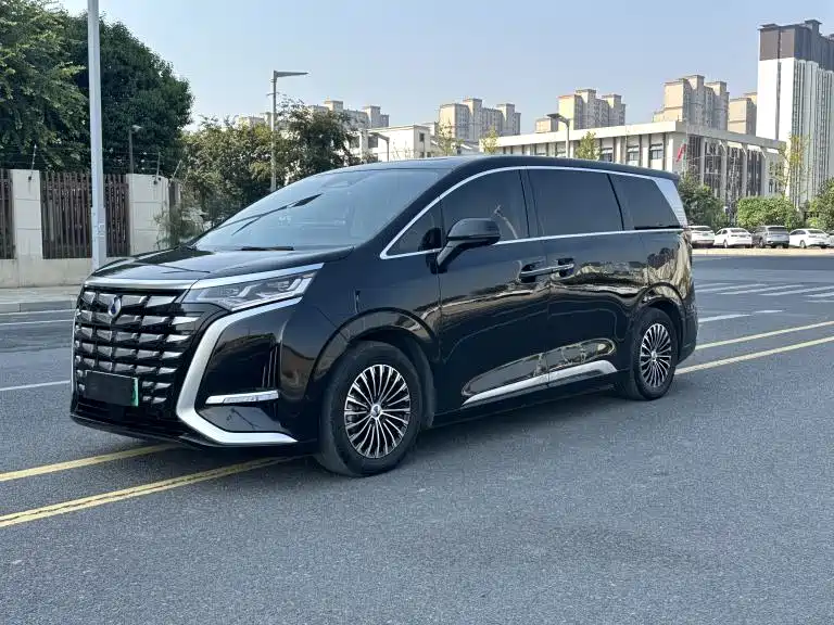 Denza Denza D9