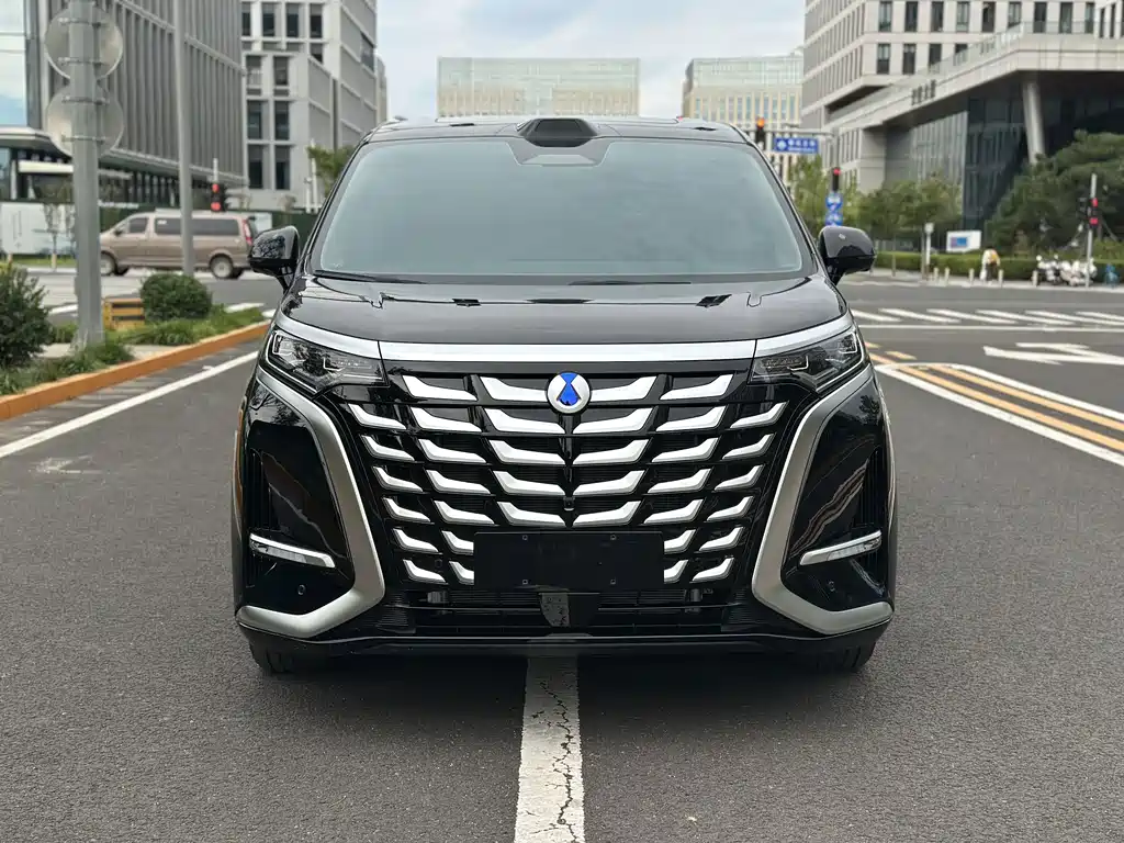 Denza Denza D9 — миниатюра 2