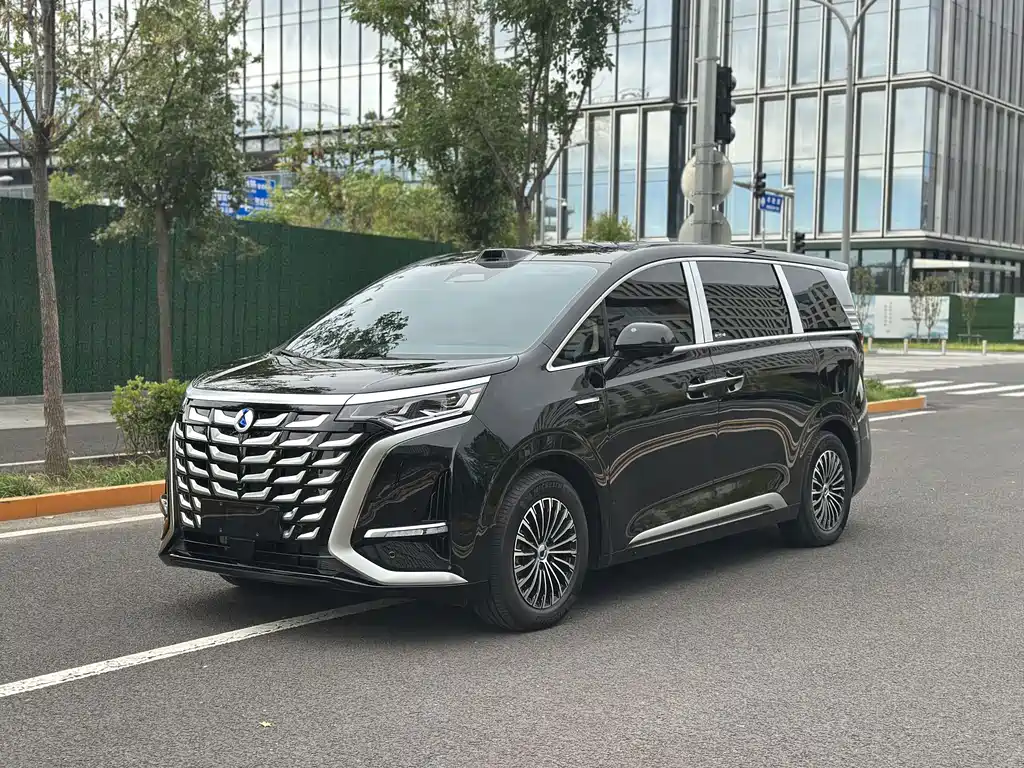 Denza Denza D9