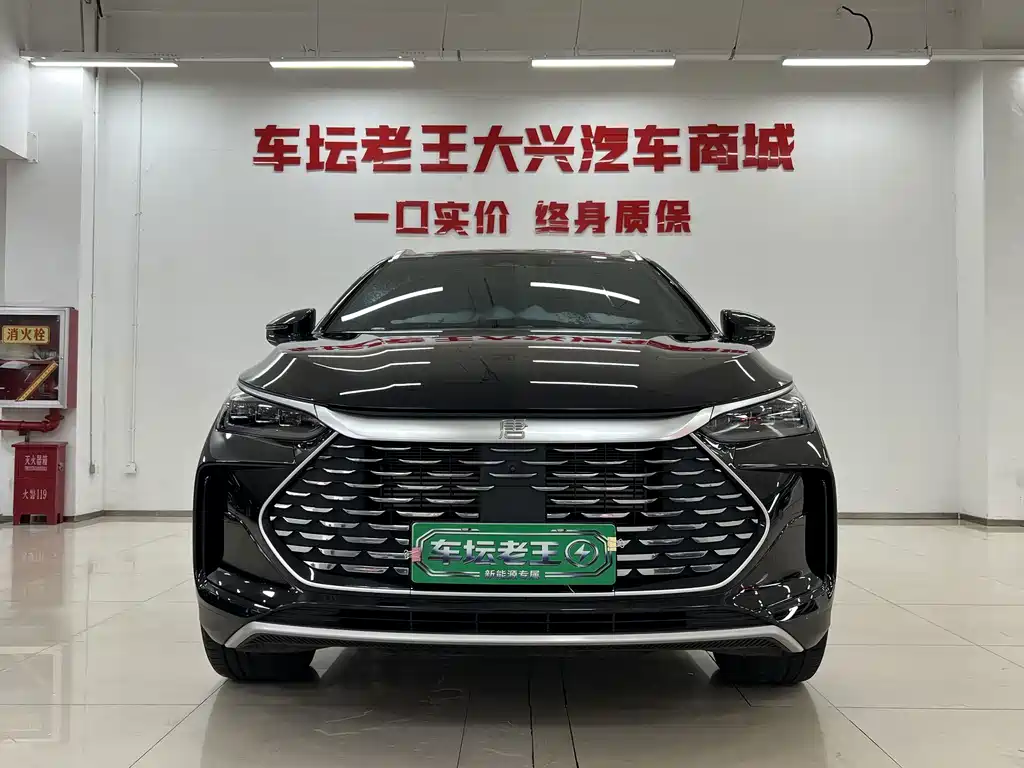 BYD Tang New Energy — миниатюра 2