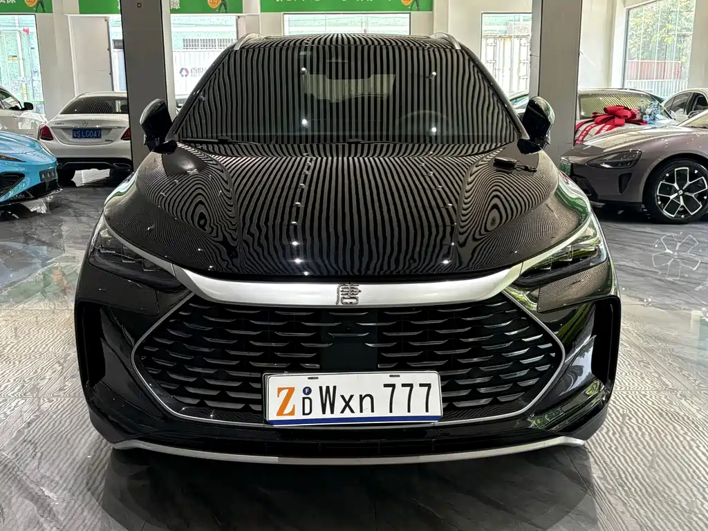 BYD Tang New Energy — миниатюра 2