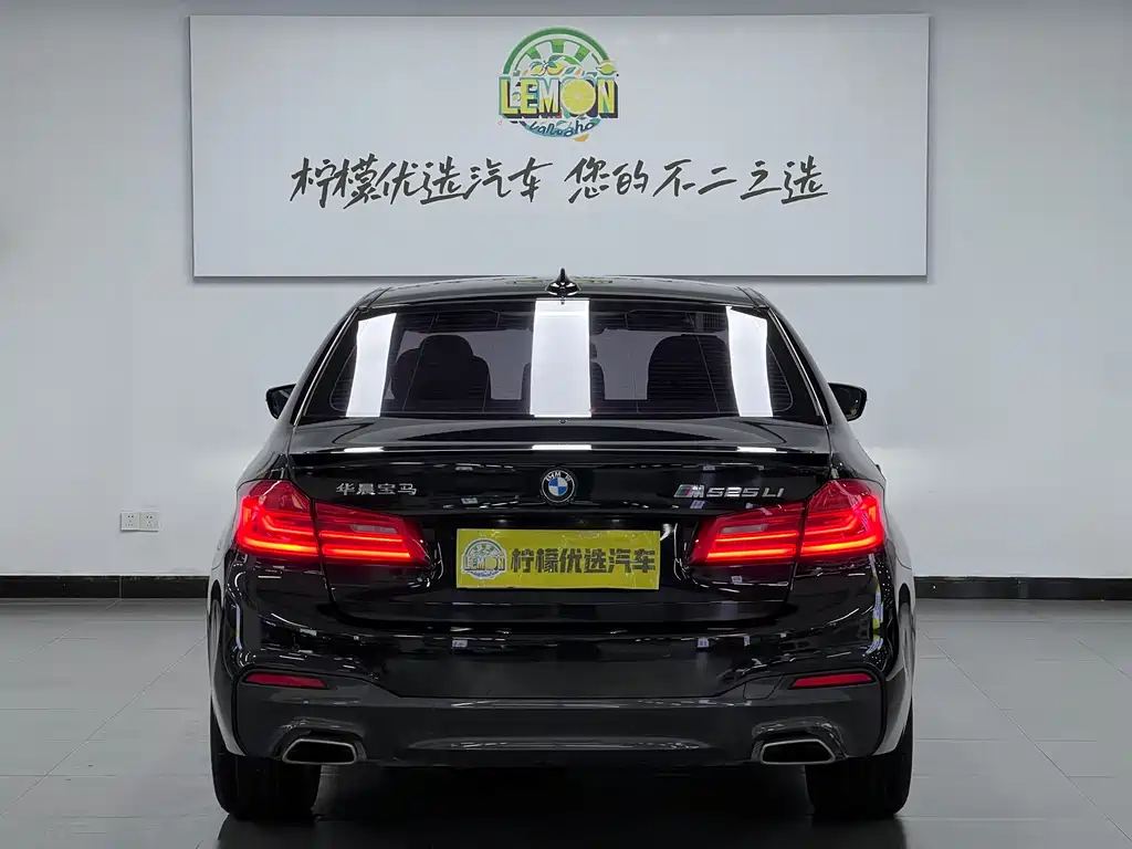 BMW 5 Series 5 2020 525Li M Sport