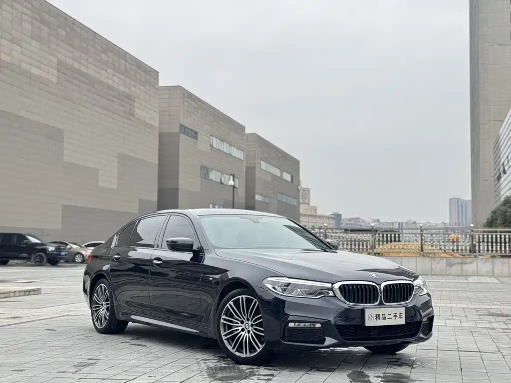 BMW 5 SERIES