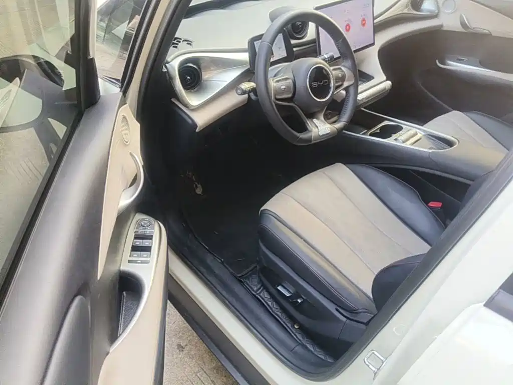 BYD Dolphin — миниатюра 16