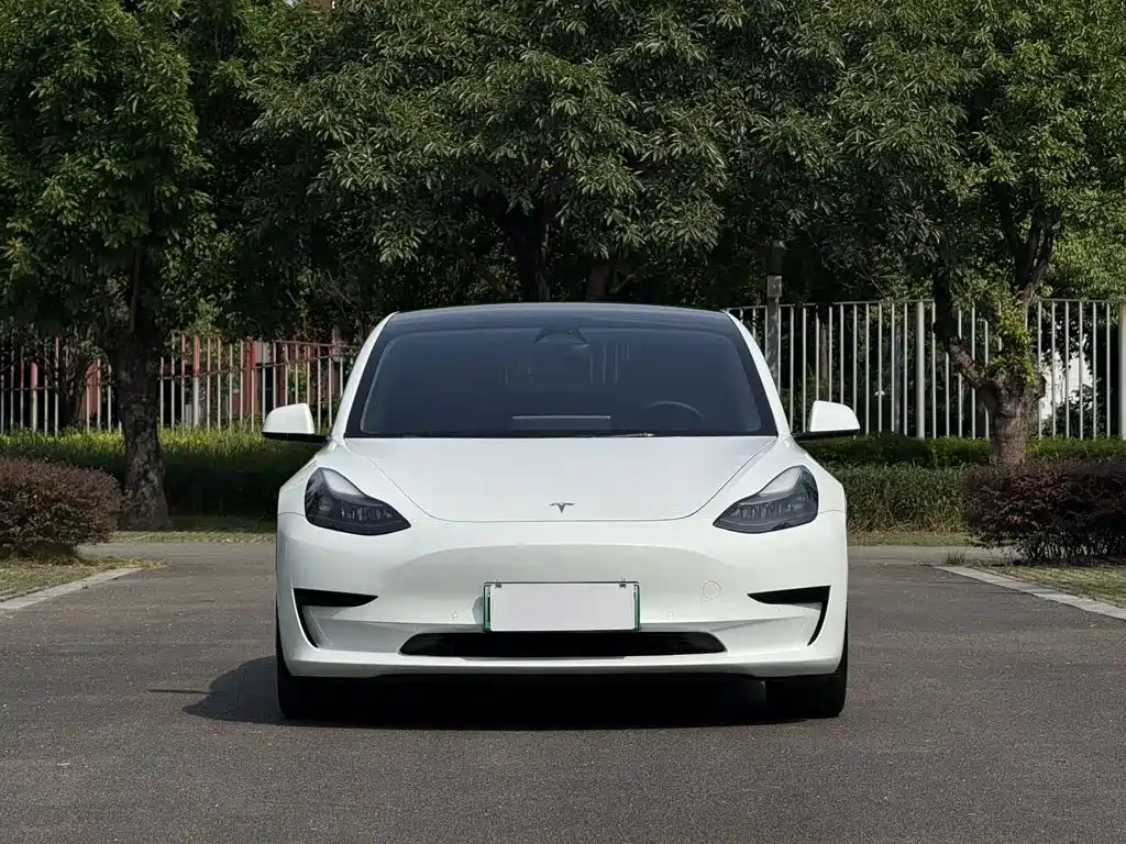 Tesla Model 3 2022 — фото 2