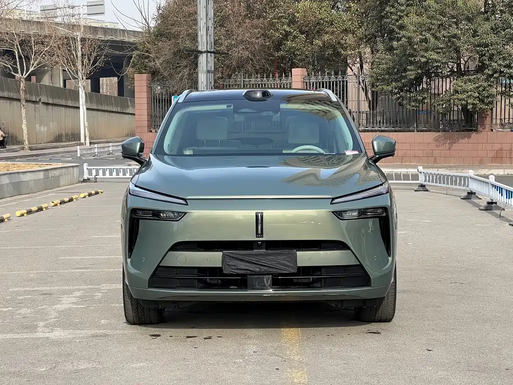 WEI PAI WEI BRAND BLUE MOUNTAIN