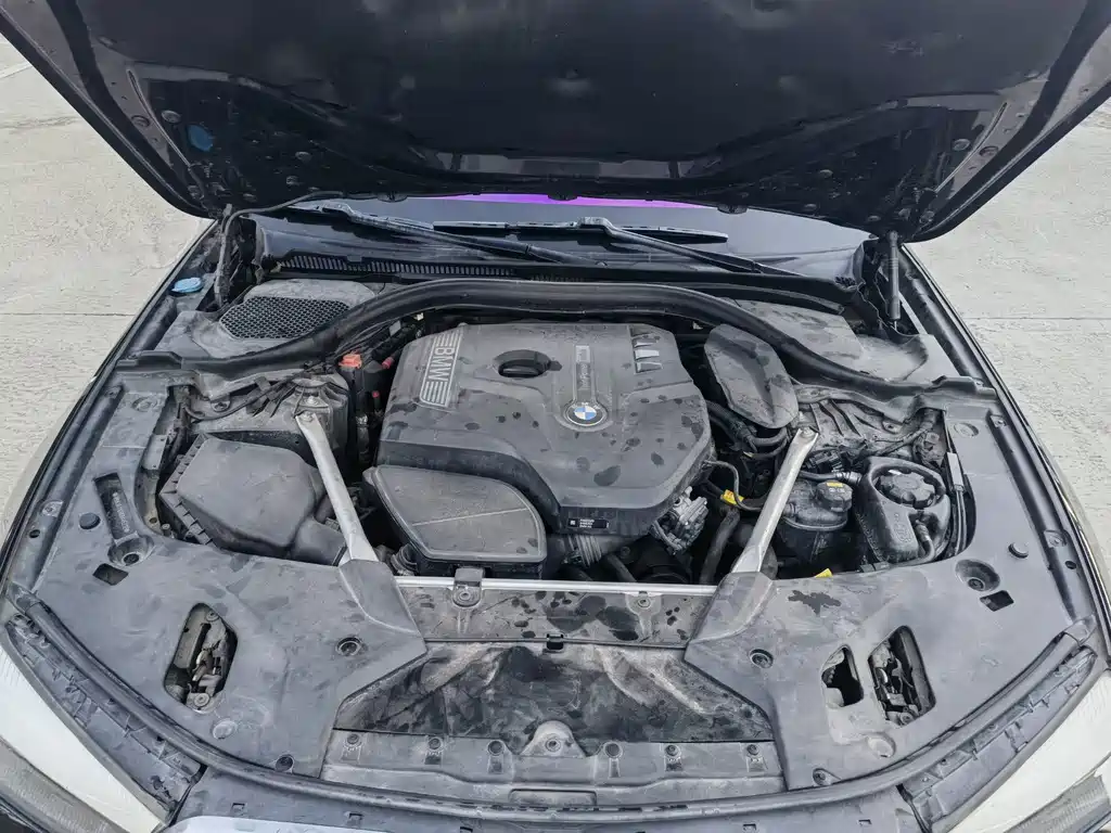 BMW 5 Series (Import) — миниатюра 14