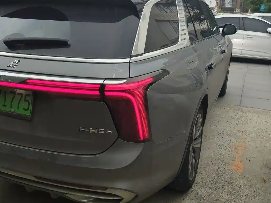 Hongqi E-HS9 2021 510km мест