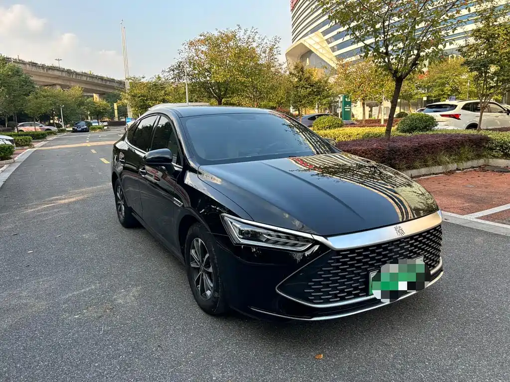 BYD Qin Plus 2024 — фото 3