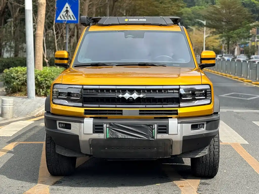 FANG CHENG BAO LEOPARD 5