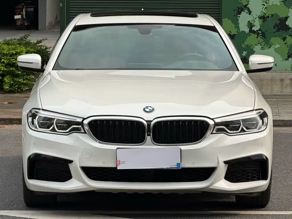 BMW 5 Series 5 2020 530Li Premium M Sport