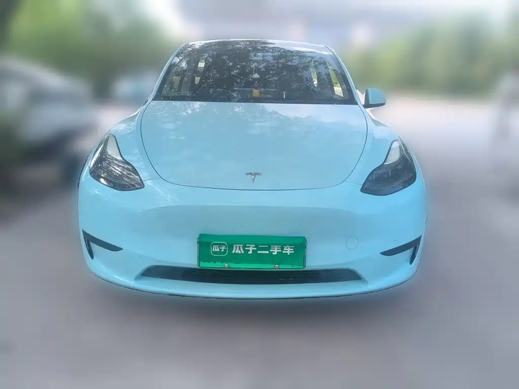 Tesla Model Y — миниатюра 23