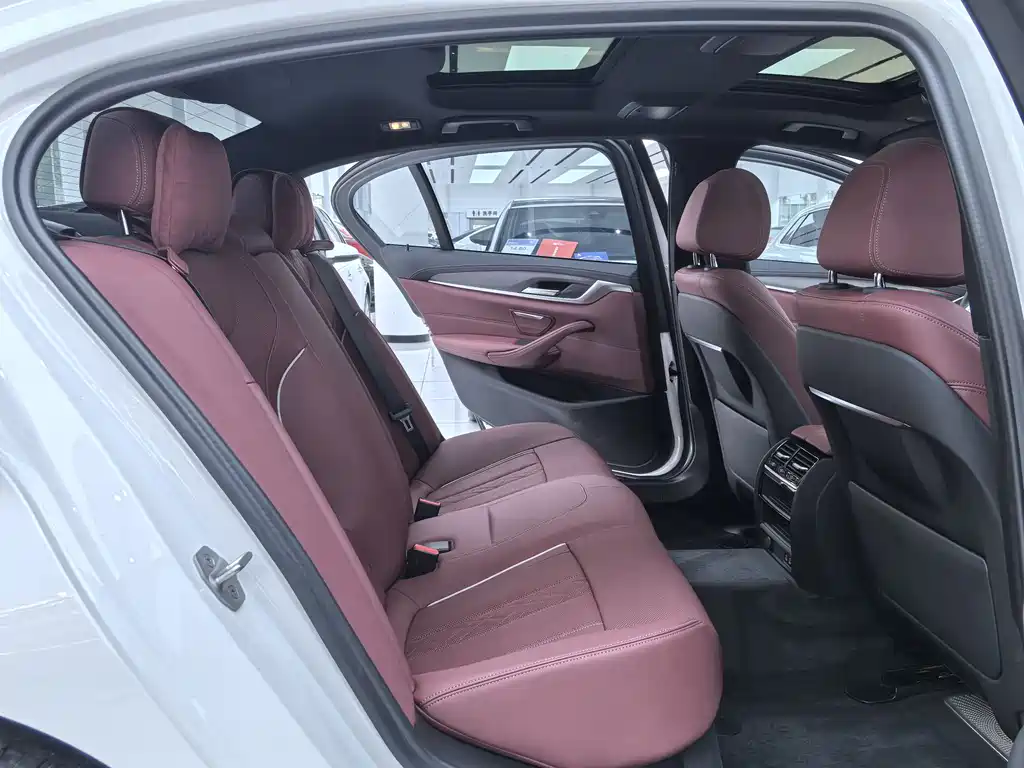 BMW 5 Series 5 2023 530Li Lead M Sport