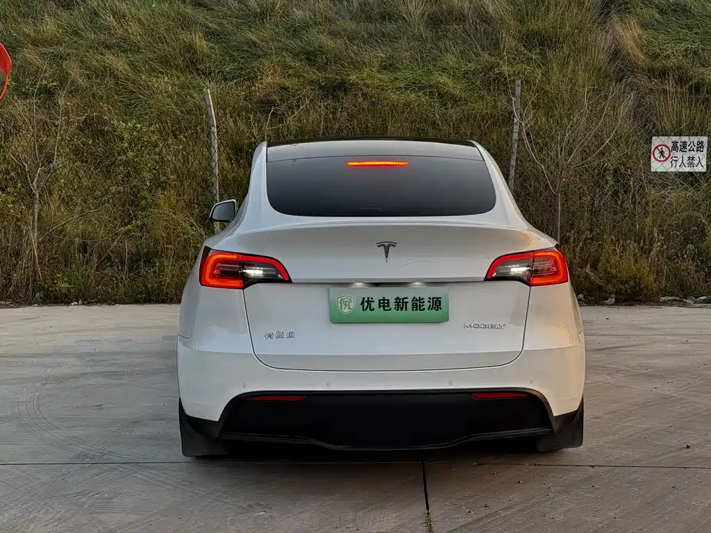 Tesla Model Y — миниатюра 10