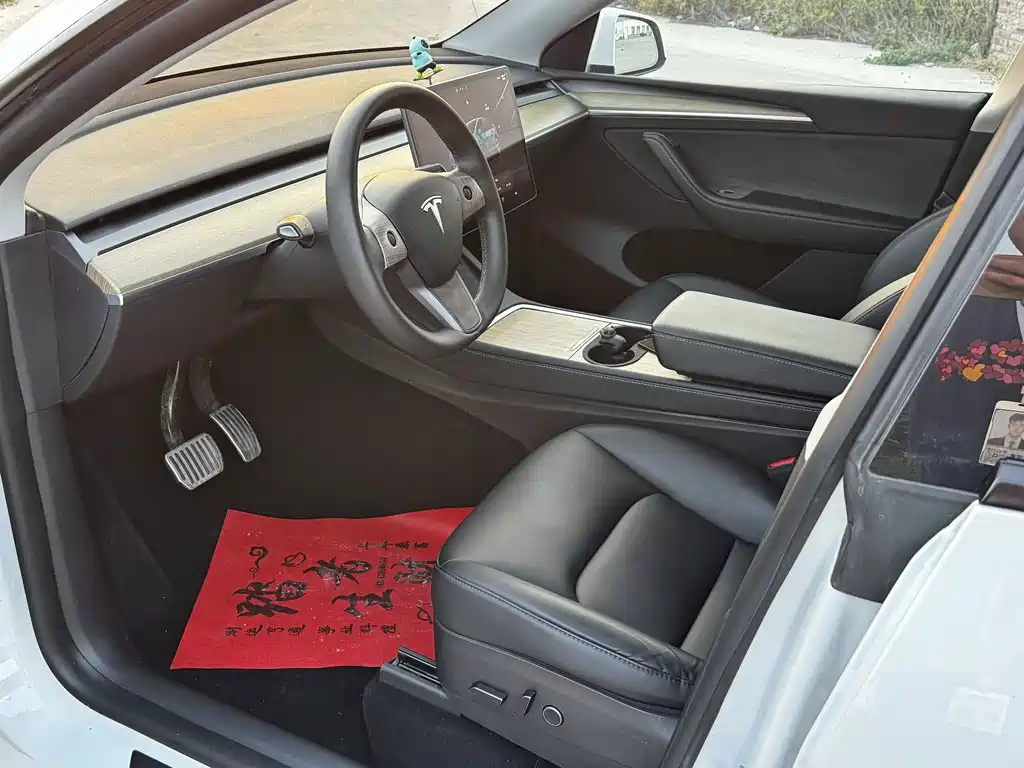 Tesla Model Y — миниатюра 19