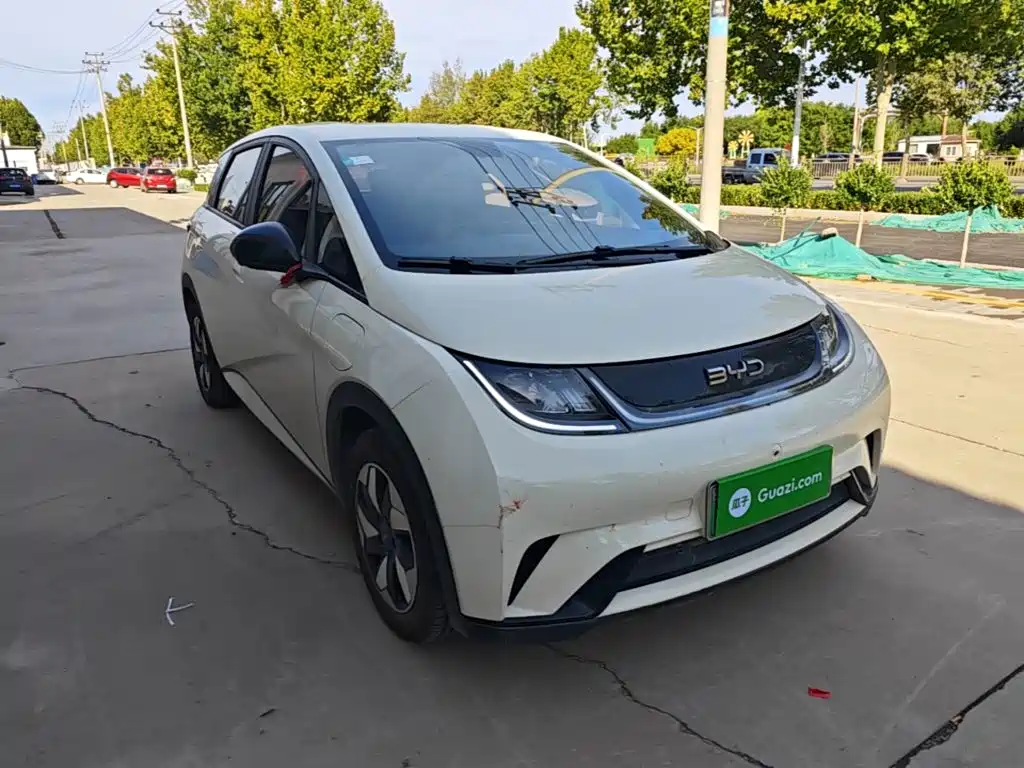 BYD Dolphin — миниатюра 22