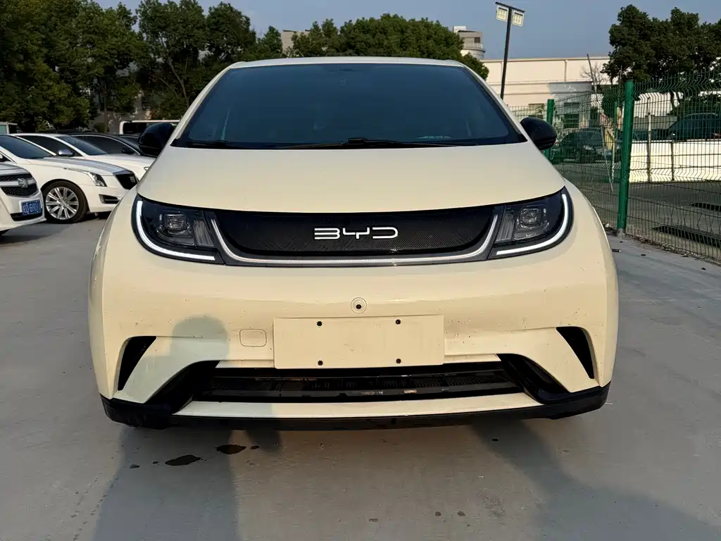 BYD Dolphin — миниатюра 3