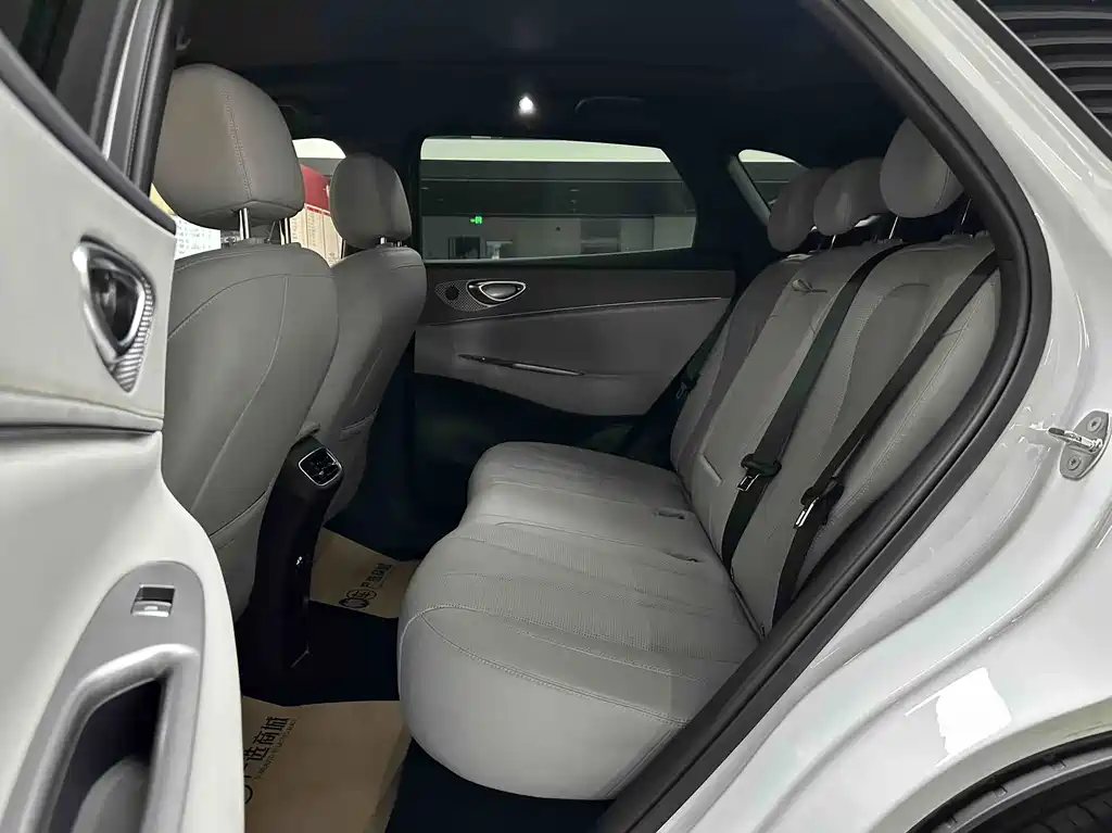 BYD Sealion 06 — миниатюра 12