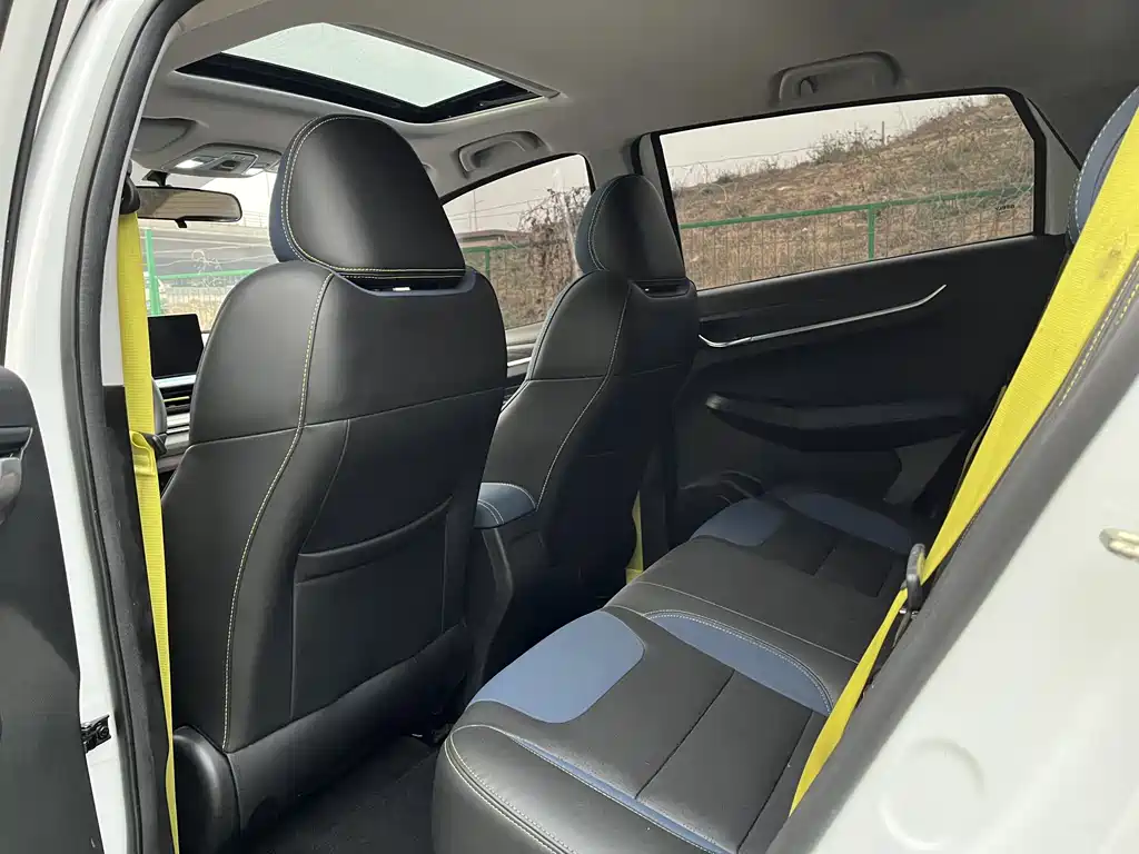 GEELY GEOMETRY EX3 KUNG FU COW