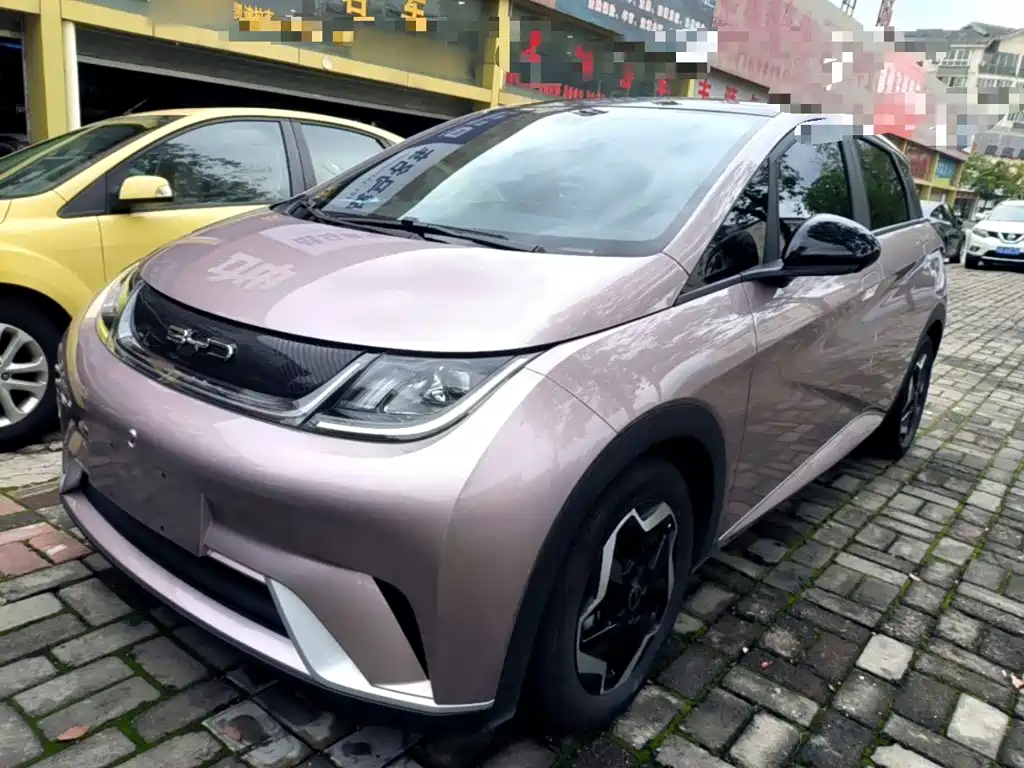 BYD Dolphin 2021 405km Fashion Edition