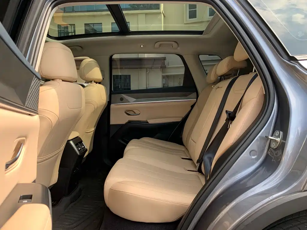 BYD Pro New Energy — миниатюра 14