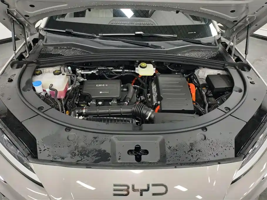 BYD SONGJIANG NEW ENERGY