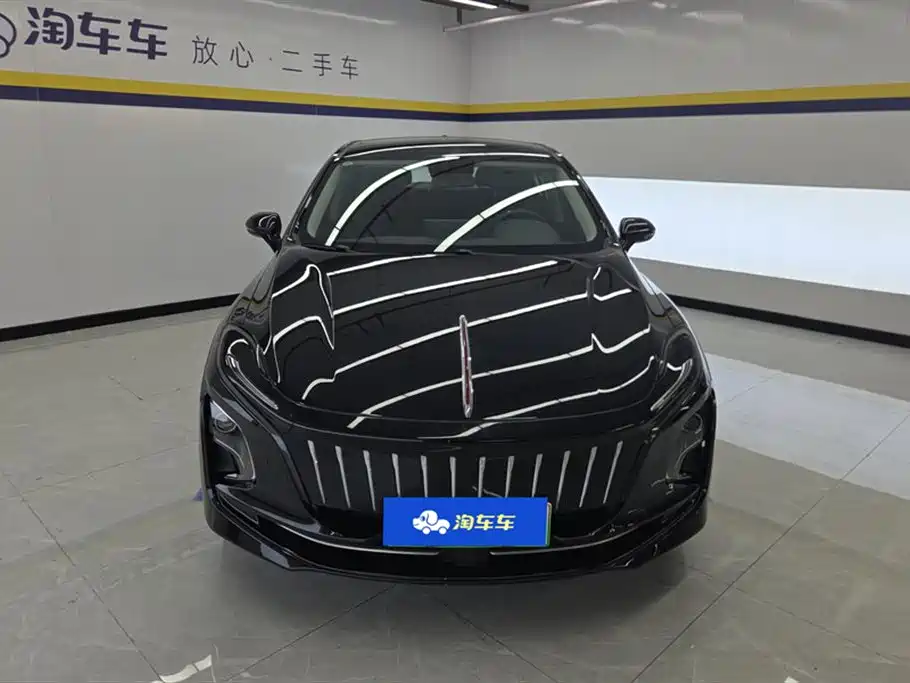 Hongqi HONGQI E QM5