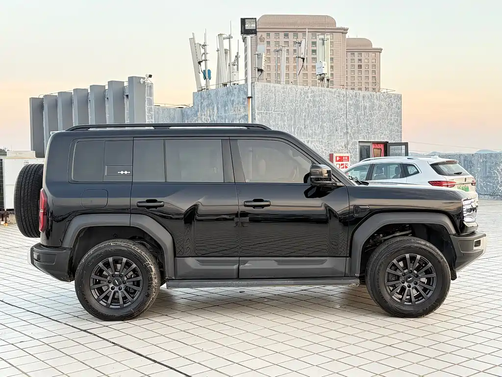 FANG CHENG BAO LEOPARD 5