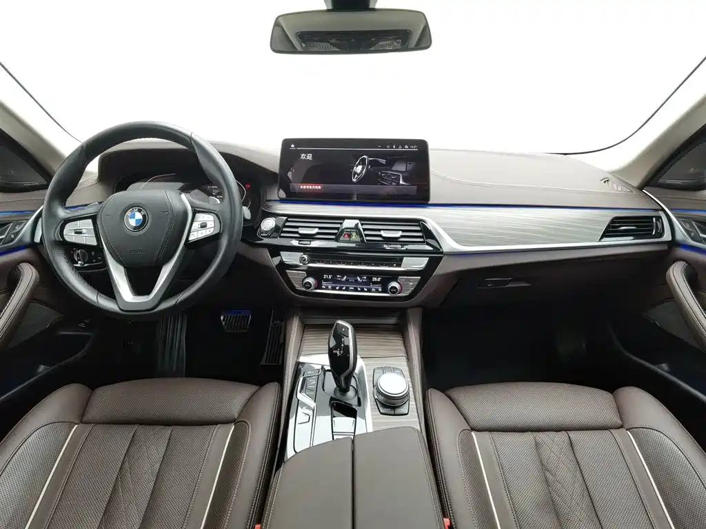 BMW 5 Series 5 2022 530Li Premium Luxury