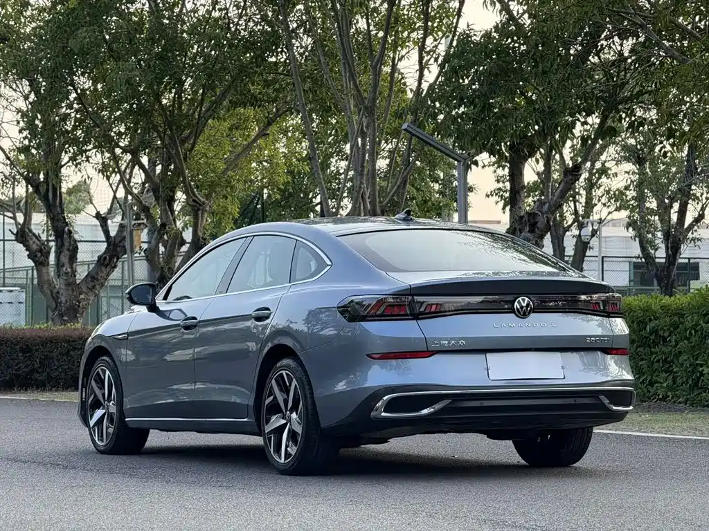 Volkswagen Lamando — миниатюра 4