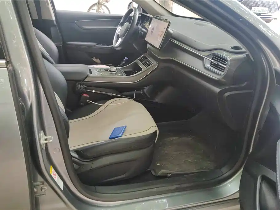 BYD Destroyer 05 2023 Champion DM-i 55KM Luxury