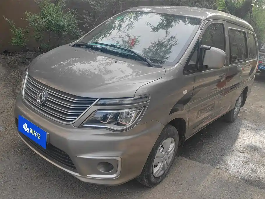 Купить Fengxing Lingzhi