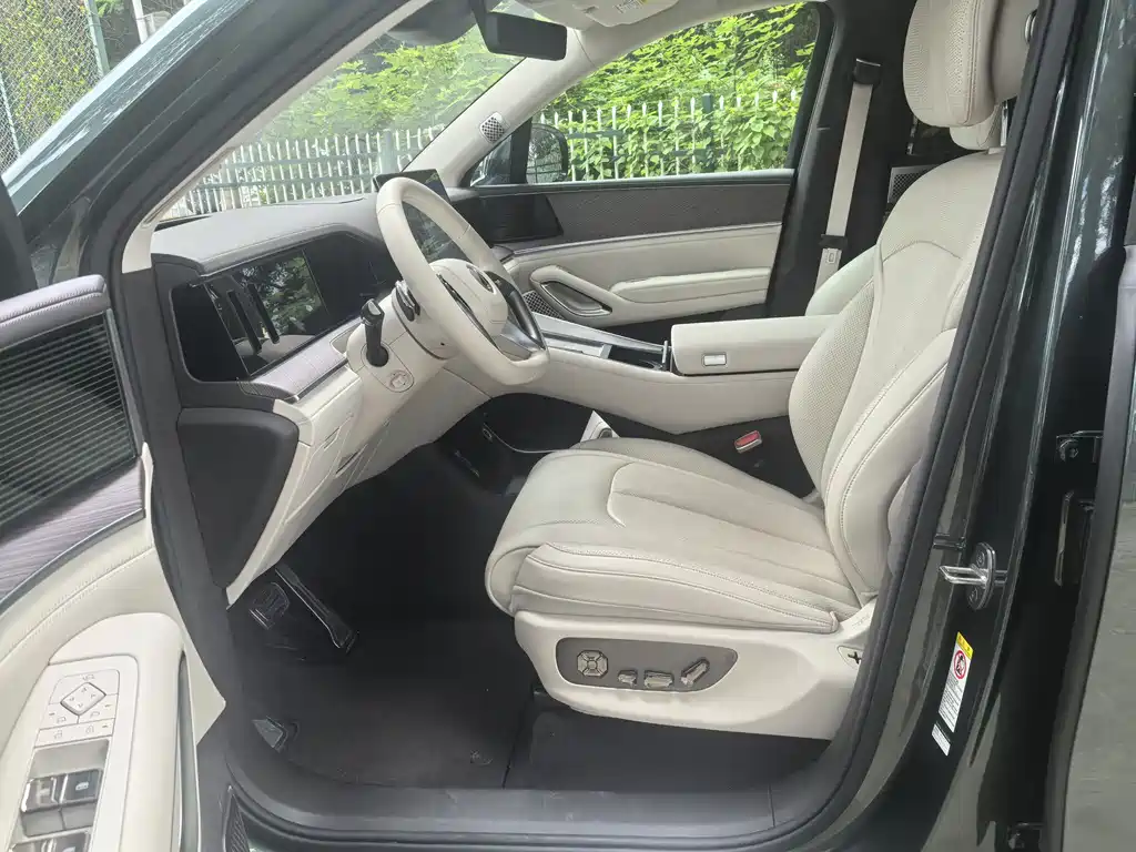 Denza N9 2025 Flagship