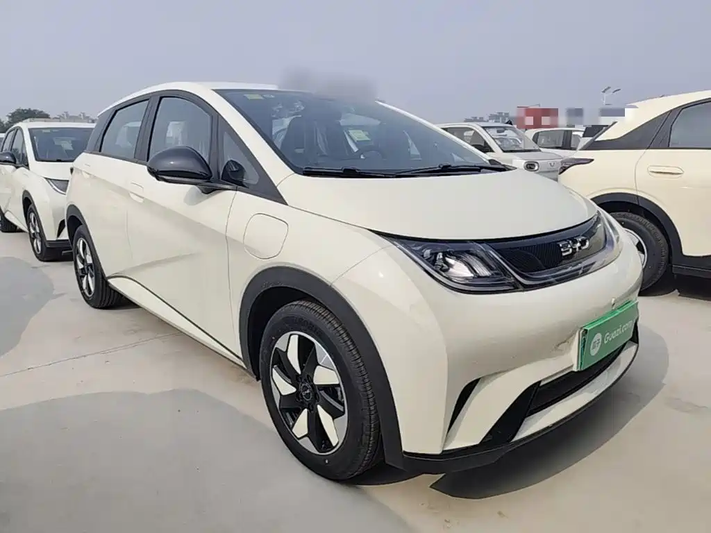 BYD Dolphin 2025 420km Freedom