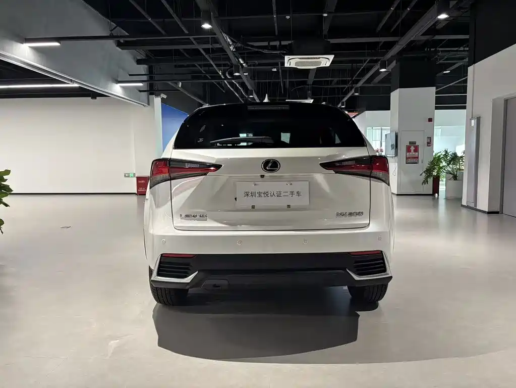 Lexus NX 2018 200 V