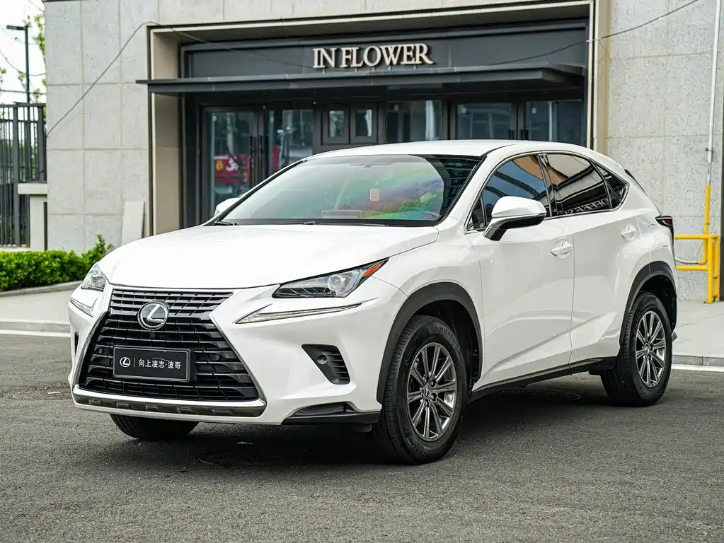 Lexus NX 2017 300 FWD Edge Travel Edition