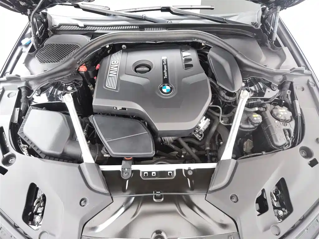 BMW 5 Series 5 2019 530Li Lead M Sport