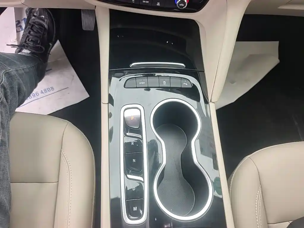 Buick Regal — миниатюра 14